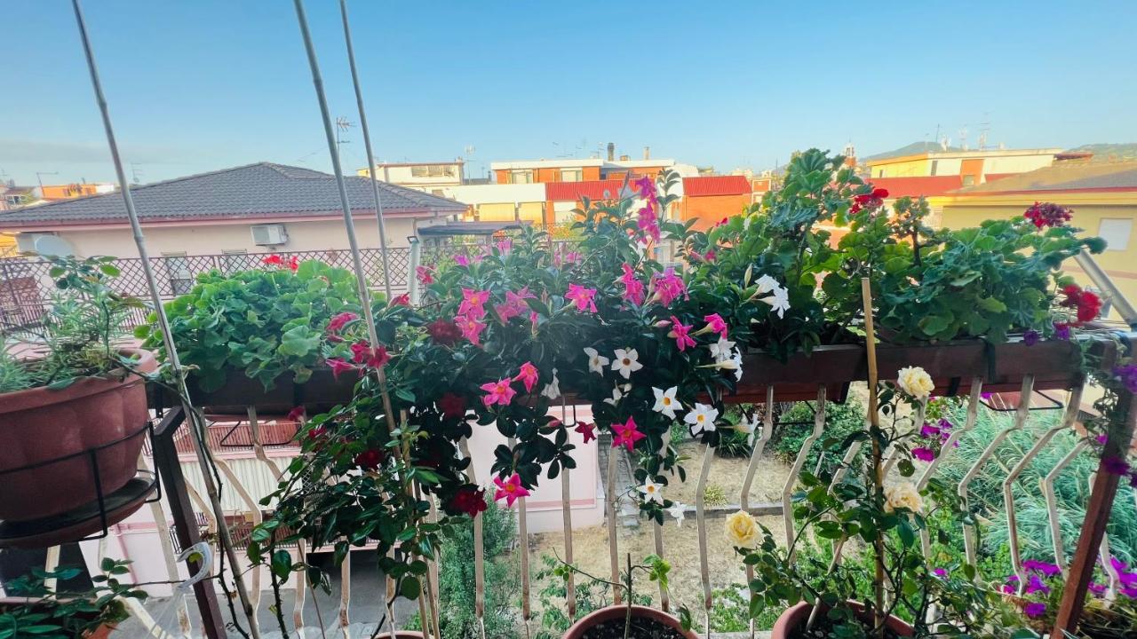 מרינו Oasi Di Serenita מראה חיצוני תמונה