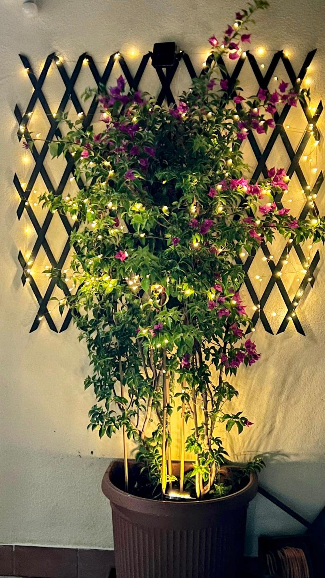 מרינו Oasi Di Serenita מראה חיצוני תמונה